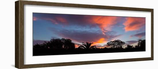 Silhouette of trees and plants at sunrise, Venice, Sarasota County, Florida, USA-null-Framed Photographic Print