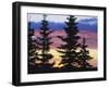 Silhouette of Trees at Sunrise, Sierra Madre, Medicine Bow-Routt National Forest, Wyoming, USA-Scott T. Smith-Framed Photographic Print