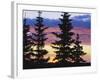 Silhouette of Trees at Sunrise, Sierra Madre, Medicine Bow-Routt National Forest, Wyoming, USA-Scott T. Smith-Framed Photographic Print