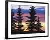 Silhouette of Trees at Sunrise, Sierra Madre, Medicine Bow-Routt National Forest, Wyoming, USA-Scott T. Smith-Framed Photographic Print