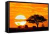 Silhouette of Trees in Forest at Dusk, Ndutu, Ngorongoro Conservation Area, Tanzania-null-Framed Stretched Canvas