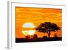 Silhouette of Trees in Forest at Dusk, Ndutu, Ngorongoro Conservation Area, Tanzania-null-Framed Photographic Print