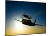 Silhouette of Two Grumman F8F Bearcats in Flight-Stocktrek Images-Mounted Photographic Print
