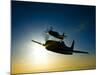 Silhouette of Two Grumman F8F Bearcats in Flight-Stocktrek Images-Mounted Photographic Print