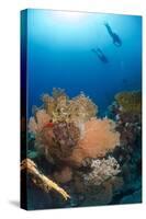 Silhouette of Two Scuba Divers Above Coral Reef-Mark Doherty-Stretched Canvas