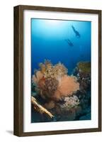 Silhouette of Two Scuba Divers Above Coral Reef-Mark Doherty-Framed Photographic Print