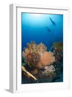 Silhouette of Two Scuba Divers Above Coral Reef-Mark Doherty-Framed Photographic Print