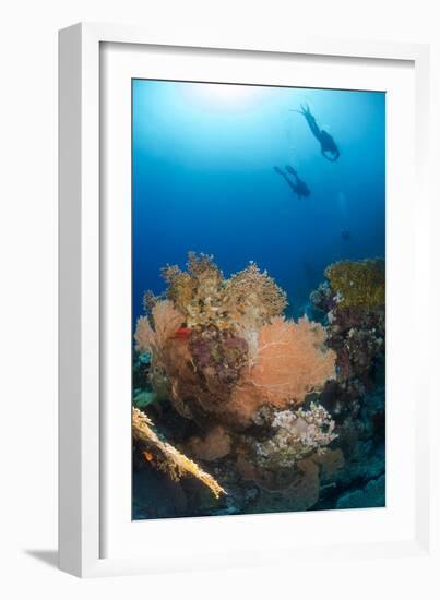 Silhouette of Two Scuba Divers Above Coral Reef-Mark Doherty-Framed Photographic Print