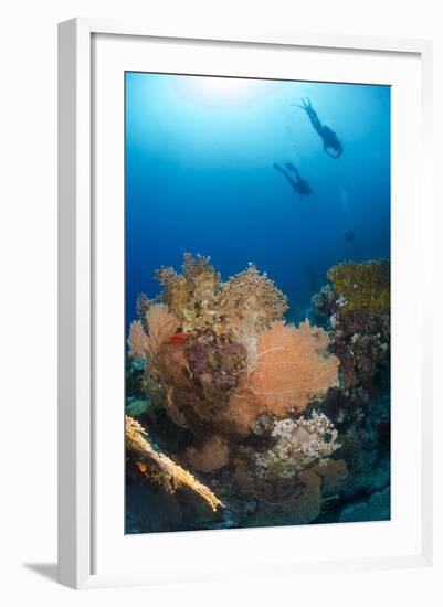 Silhouette of Two Scuba Divers Above Coral Reef-Mark Doherty-Framed Photographic Print