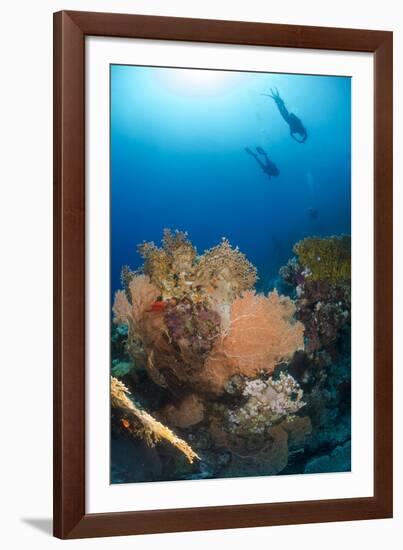 Silhouette of Two Scuba Divers Above Coral Reef-Mark Doherty-Framed Photographic Print