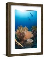 Silhouette of Two Scuba Divers Above Coral Reef-Mark Doherty-Framed Photographic Print