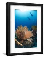 Silhouette of Two Scuba Divers Above Coral Reef-Mark Doherty-Framed Photographic Print