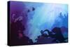 Silhouette of Underwater Marine Life and Octopus in the Foreground. Wreck and Diver in the Backgrou-eva_mask-Stretched Canvas