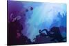 Silhouette of Underwater Marine Life and Octopus in the Foreground. Wreck and Diver in the Backgrou-eva_mask-Stretched Canvas
