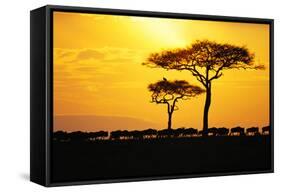 Silhouette of Wildebeest Herd-John Conrad-Framed Stretched Canvas