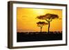 Silhouette of Wildebeest Herd-John Conrad-Framed Photographic Print