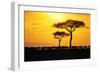 Silhouette of Wildebeest Herd-John Conrad-Framed Photographic Print