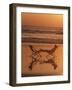 Silhouette of Woman in Beach Chair on the Beach-Mitch Diamond-Framed Photographic Print