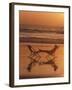 Silhouette of Woman in Beach Chair on the Beach-Mitch Diamond-Framed Photographic Print