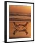 Silhouette of Woman in Beach Chair on the Beach-Mitch Diamond-Framed Photographic Print