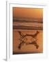 Silhouette of Woman in Beach Chair on the Beach-Mitch Diamond-Framed Photographic Print