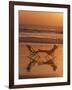 Silhouette of Woman in Beach Chair on the Beach-Mitch Diamond-Framed Photographic Print