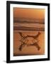 Silhouette of Woman in Beach Chair on the Beach-Mitch Diamond-Framed Photographic Print