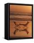 Silhouette of Woman in Beach Chair on the Beach-Mitch Diamond-Framed Stretched Canvas