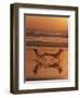 Silhouette of Woman in Beach Chair on the Beach-Mitch Diamond-Framed Photographic Print