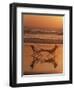 Silhouette of Woman in Beach Chair on the Beach-Mitch Diamond-Framed Photographic Print