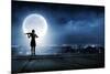 Silhouette of Woman Playing Violin at Night-Sergey Nivens-Mounted Photographic Print