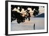 Silhouette of Woman Wading at Sea at Sunset, Anse L' Islette, Seychelles, Indian Ocean Islands-Guido Cozzi-Framed Photographic Print