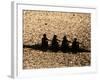 Silhouette of Women's Fours Rowing Team, Atlanta, Georgia, USA-null-Framed Photographic Print