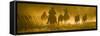 Silhouette of Wranglers Rounding Up Horses, Ponderosa Ranch, Seneca, Oregon, USA-Wendy Kaveney-Framed Stretched Canvas