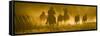 Silhouette of Wranglers Rounding Up Horses, Ponderosa Ranch, Seneca, Oregon, USA-Wendy Kaveney-Framed Stretched Canvas