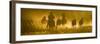 Silhouette of Wranglers Rounding Up Horses, Ponderosa Ranch, Seneca, Oregon, USA-Wendy Kaveney-Framed Photographic Print