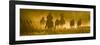 Silhouette of Wranglers Rounding Up Horses, Ponderosa Ranch, Seneca, Oregon, USA-Wendy Kaveney-Framed Photographic Print