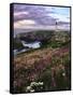 Silhouette of Yaquina Head Lighthouse, Yaquina Head, Lincoln County, Oregon, USA-Panoramic Images-Framed Stretched Canvas