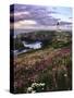 Silhouette of Yaquina Head Lighthouse, Yaquina Head, Lincoln County, Oregon, USA-Panoramic Images-Stretched Canvas