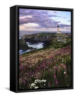 Silhouette of Yaquina Head Lighthouse, Yaquina Head, Lincoln County, Oregon, USA-Panoramic Images-Framed Stretched Canvas