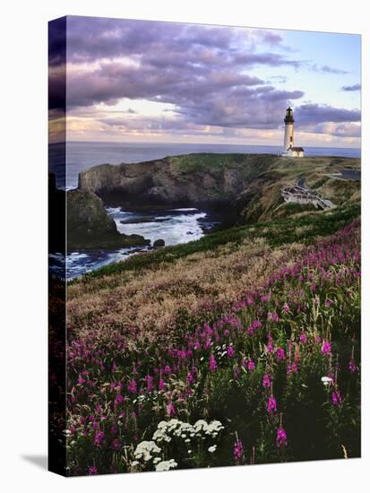 Silhouette of Yaquina Head Lighthouse, Yaquina Head, Lincoln County, Oregon, USA-Panoramic Images-Stretched Canvas