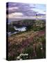 Silhouette of Yaquina Head Lighthouse, Yaquina Head, Lincoln County, Oregon, USA-Panoramic Images-Stretched Canvas