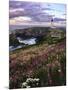 Silhouette of Yaquina Head Lighthouse, Yaquina Head, Lincoln County, Oregon, USA-Panoramic Images-Mounted Photographic Print