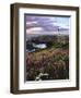 Silhouette of Yaquina Head Lighthouse, Yaquina Head, Lincoln County, Oregon, USA-Panoramic Images-Framed Photographic Print