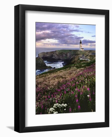 Silhouette of Yaquina Head Lighthouse, Yaquina Head, Lincoln County, Oregon, USA-Panoramic Images-Framed Photographic Print