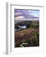 Silhouette of Yaquina Head Lighthouse, Yaquina Head, Lincoln County, Oregon, USA-Panoramic Images-Framed Photographic Print