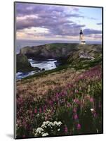 Silhouette of Yaquina Head Lighthouse, Yaquina Head, Lincoln County, Oregon, USA-Panoramic Images-Mounted Photographic Print