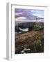 Silhouette of Yaquina Head Lighthouse, Yaquina Head, Lincoln County, Oregon, USA-Panoramic Images-Framed Photographic Print