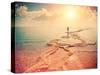 Silhouette of Young Woman Walking on Dead Sea at Sunrise-vvvita-Stretched Canvas