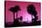 Silhouette Palm Trees at Sunset-Philippe Hugonnard-Stretched Canvas